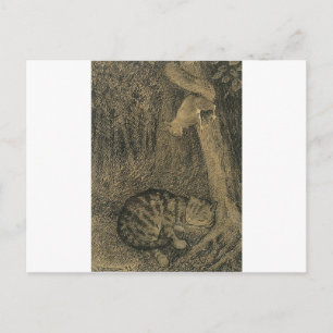 Katt Og Ekorn by Theodor Severin Kittelsen Postcard