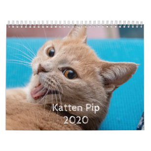 Katten Pip - 2020 Calendar