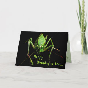 Katydid Birthday Card