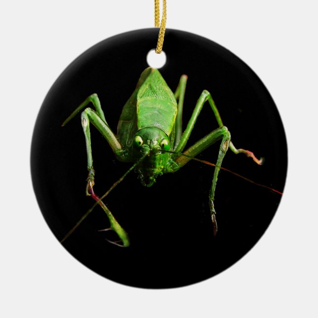 Katydid Ceramic Tree Decoration (Front)