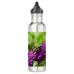 katydid energy 710 ml water bottle