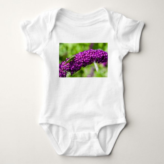 katydid energy baby bodysuit (Front)