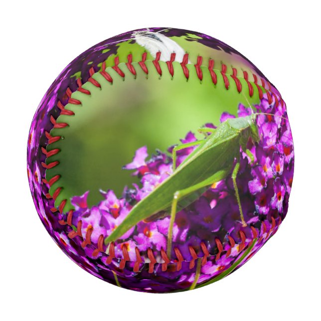 katydid energy baseball (Front Left)