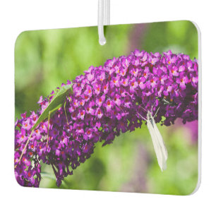 katydid energy car air freshener