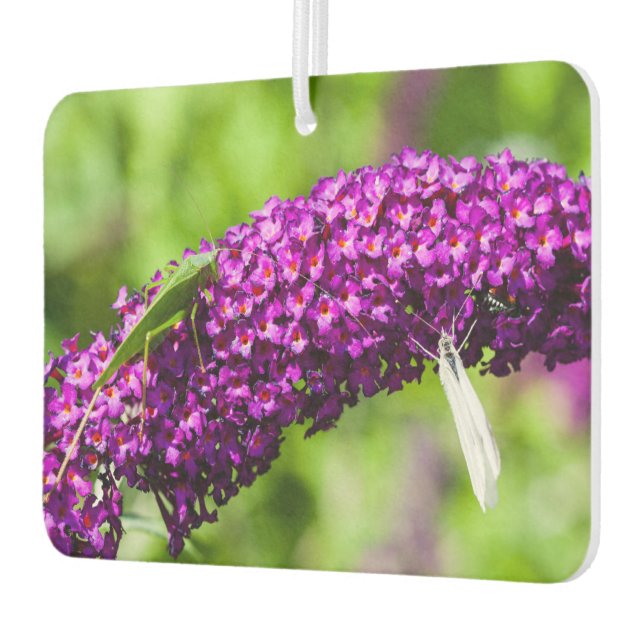 katydid energy car air freshener (Left)
