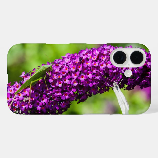 katydid energy Case-Mate iPhone case (Back (Horizontal))