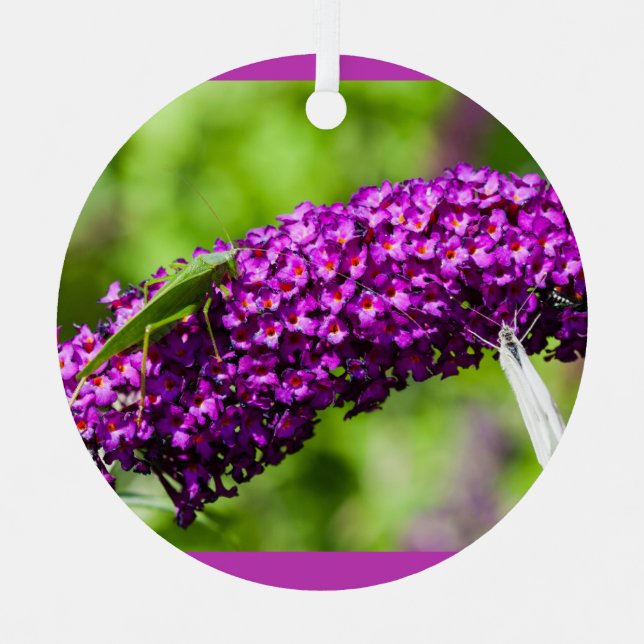 katydid energy ceramic ornament (Front)