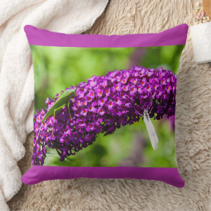katydid energy cushion