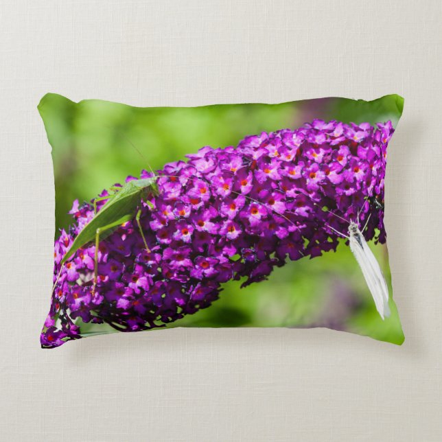 katydid energy decorative cushion (Front)