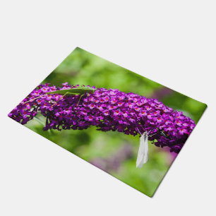 katydid energy doormat