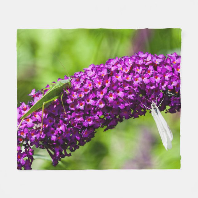 katydid energy fleece blanket (Front (Horizontal))