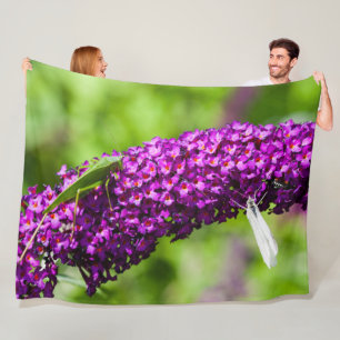 katydid energy fleece blanket