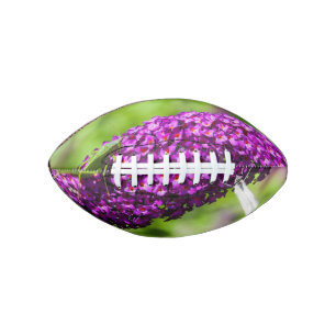 katydid energy football