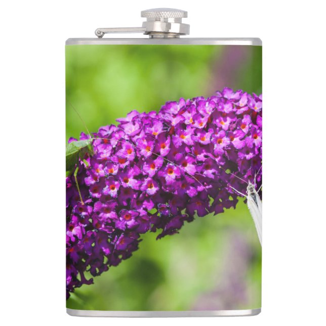 katydid energy hip flask (Front)