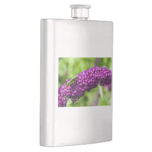 katydid energy hip flask