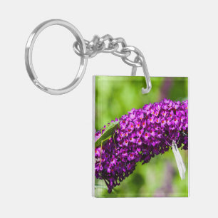 katydid energy key ring
