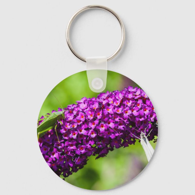 katydid energy key ring (Front)