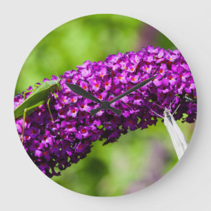 katydid energy large clock