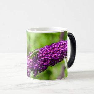 katydid energy magic mug