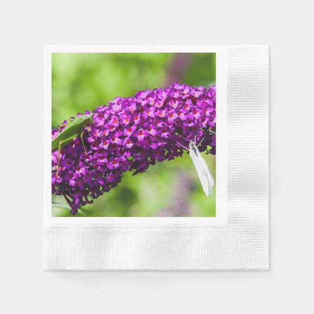 katydid energy napkin (Front)