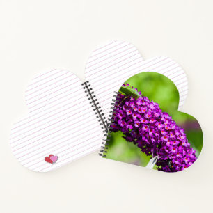 katydid energy notebook