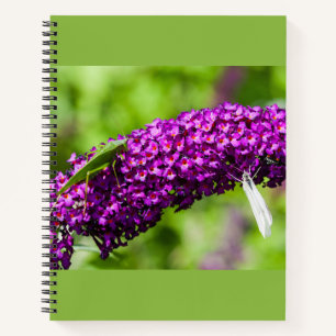 katydid energy notebook