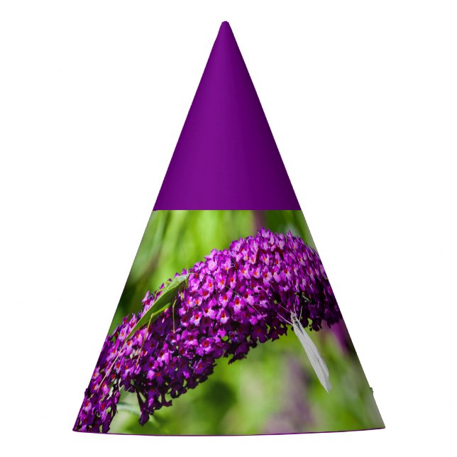 katydid energy party hat (Front)