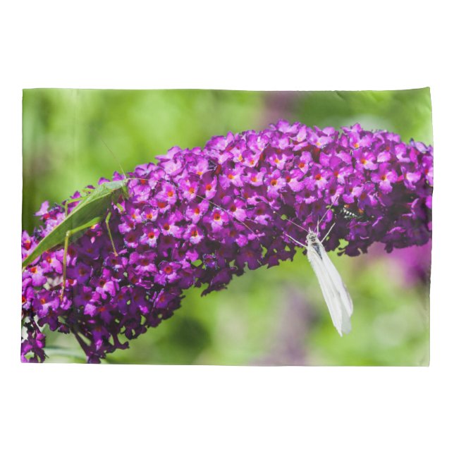 katydid energy pillowcase (Back)