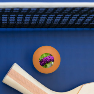 katydid energy ping pong ball