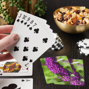 katydid energy playing cards
