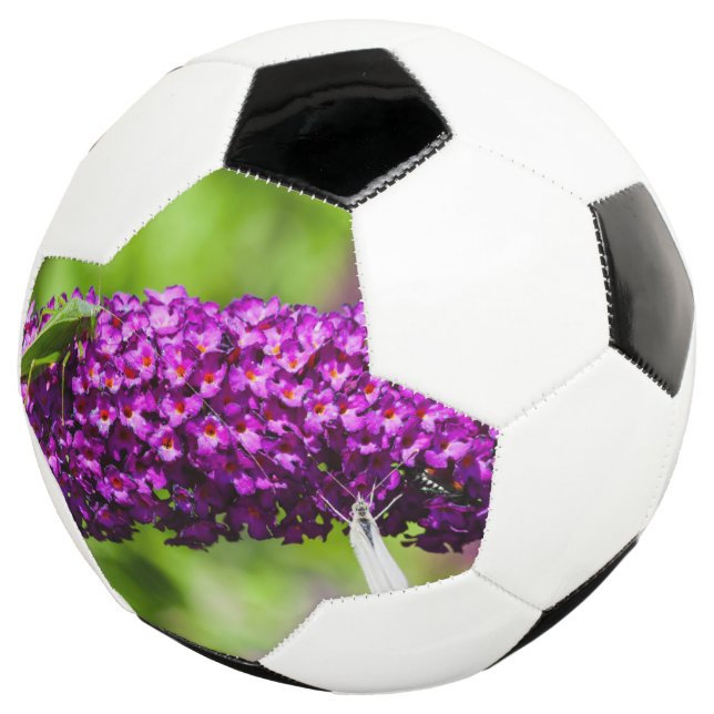 katydid energy soccer ball (Three Quarter)