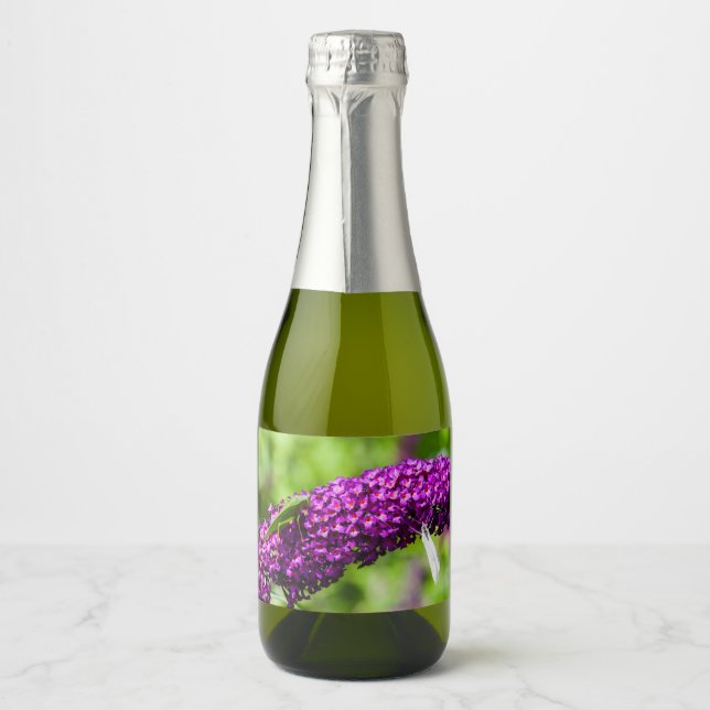 katydid energy sparkling wine label (Front)