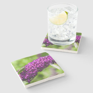 katydid energy stone coaster