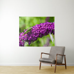 katydid energy tapestry