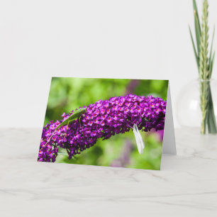 katydid energy thank you card