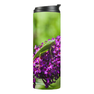 katydid energy thermal tumbler