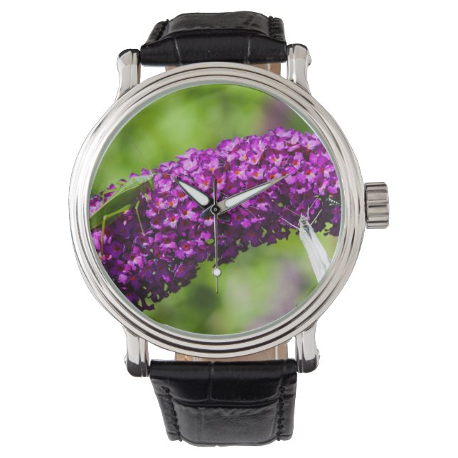 katydid energy watch (Front)