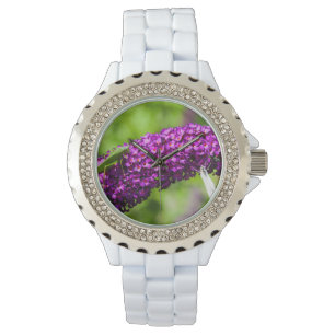 katydid energy watch