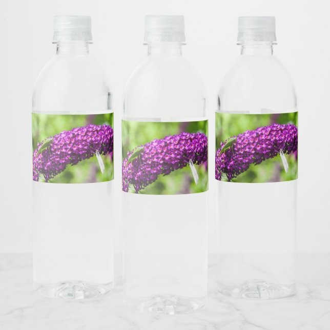 katydid energy water bottle label (Bottles)