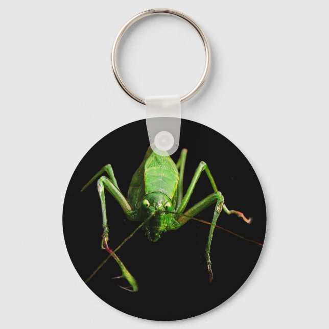 Katydid Key Ring (Front)
