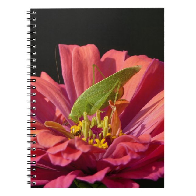 Katydid on Zinnia Notebook (Front)