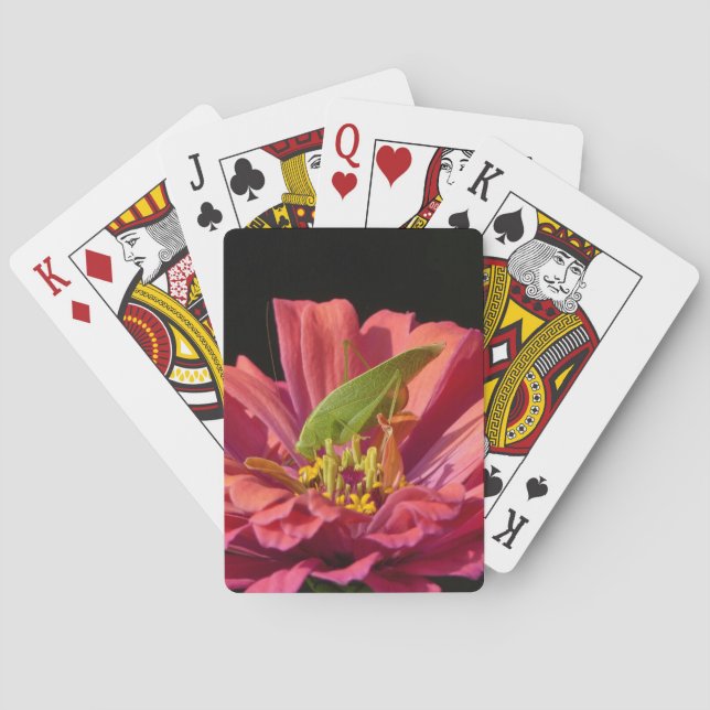 Katydid on Zinnia Playing Cards (Back)