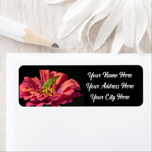 Katydid on Zinnia Return Address Label