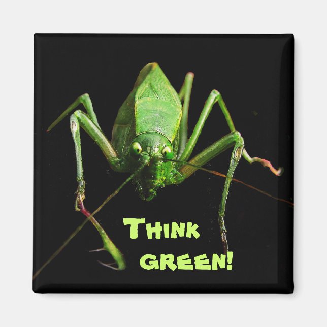 Katydid Think Green Magnet (Front)