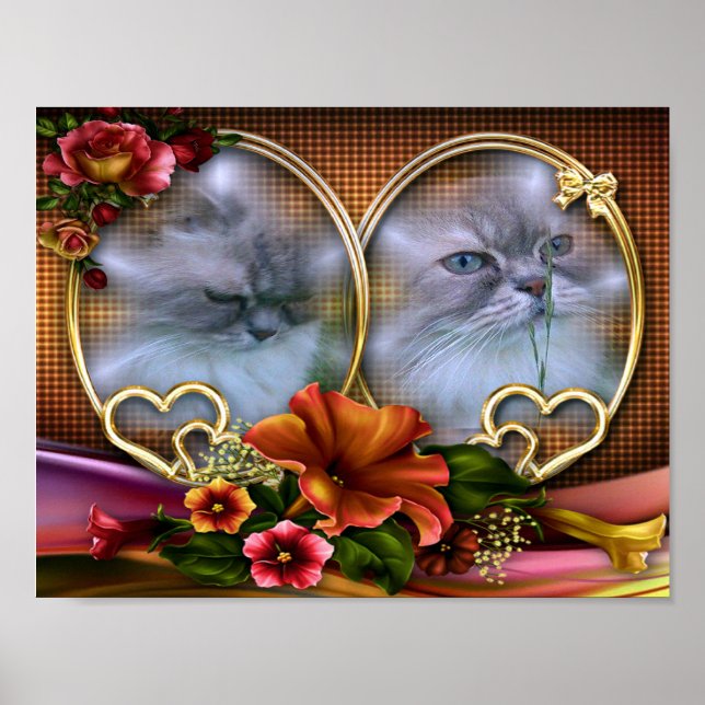 Katze2 für Lilo Poster (Front)