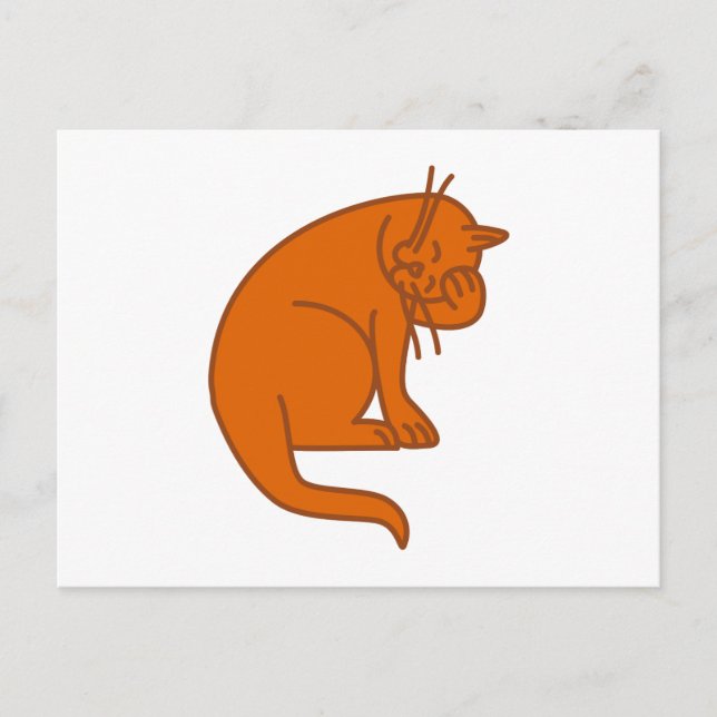 Katze cat postcard (Front)