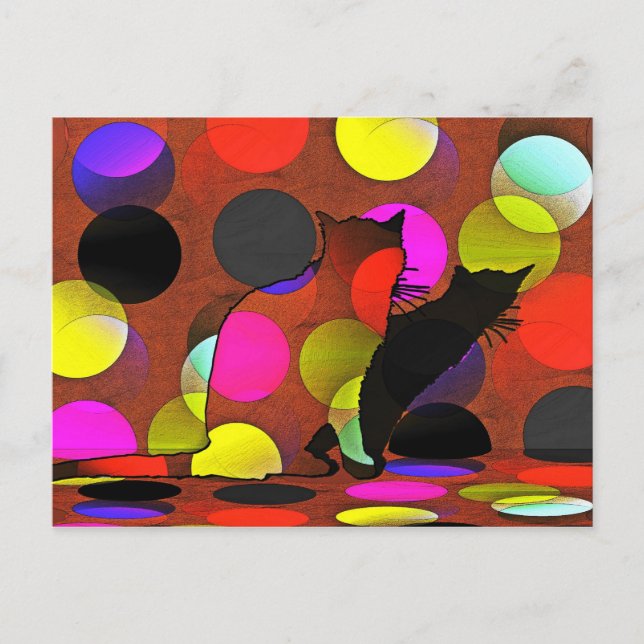 Katzenkarte Postcard (Front)