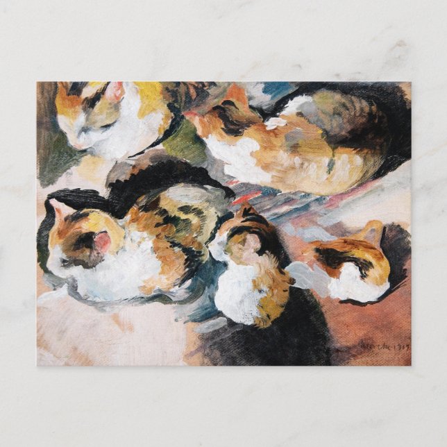 Katzenstudien (Study of a Cat) 1909 Holiday Postcard (Front)