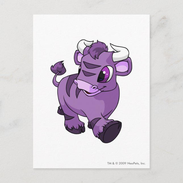 Kau Purple Postcard (Front)