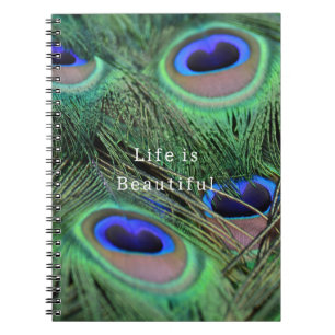 Kauai Blue Peacock Feathers (photo taken by me) Notebook